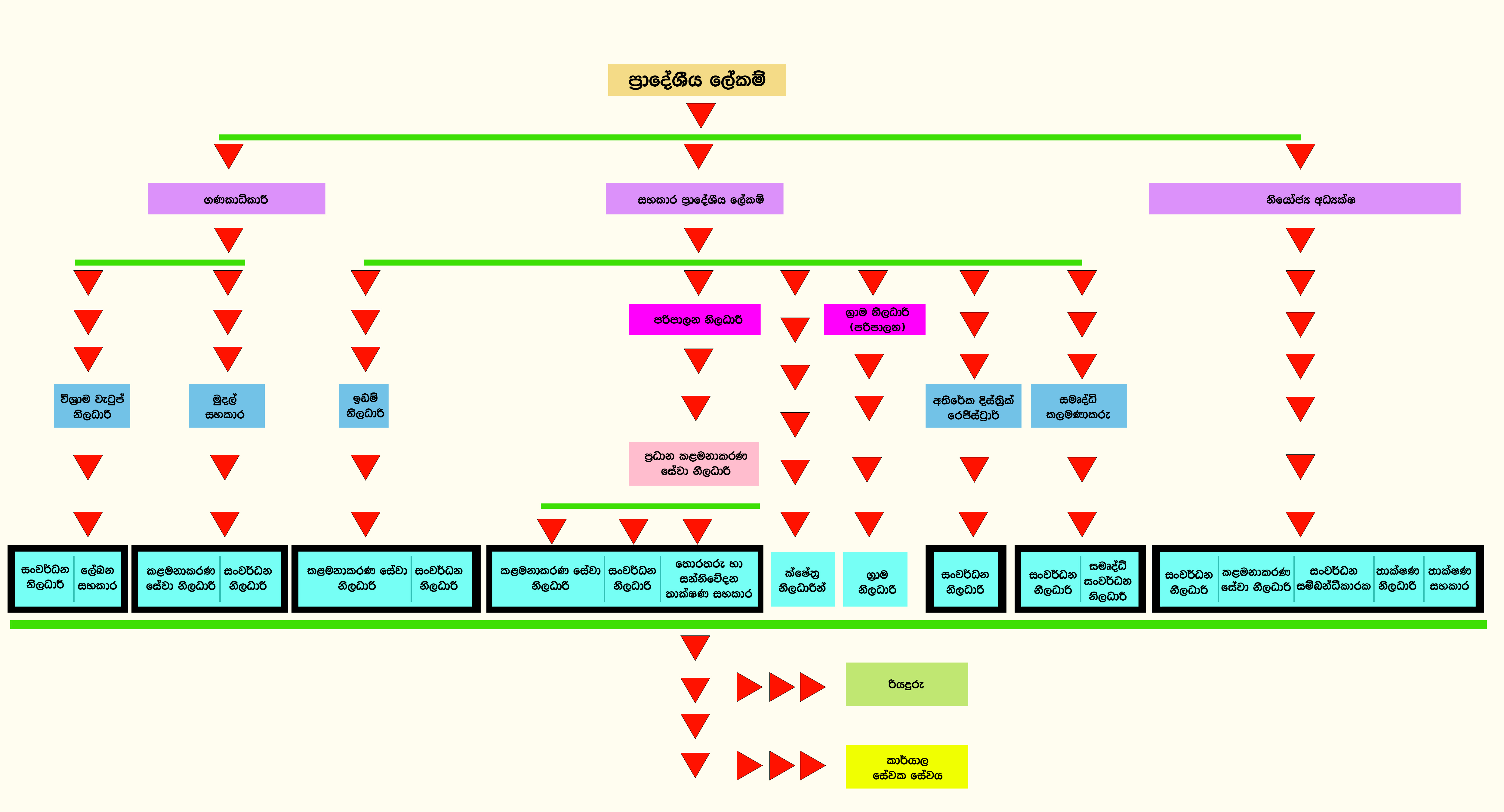 organization chart final 3 copy