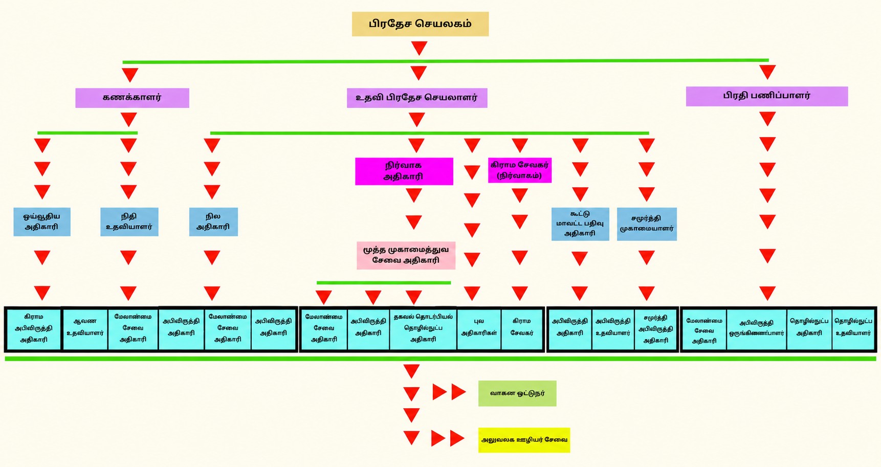 organization chart tamil low
