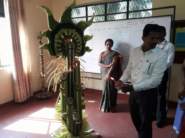 celebrating new year