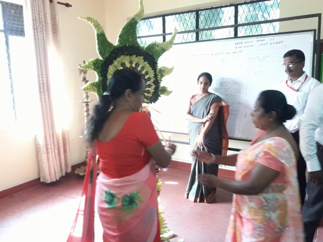 celebrating new year