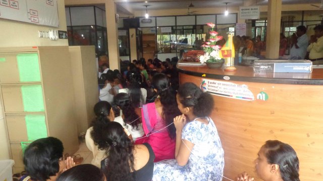 celebrating new year