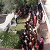 celebrating new year